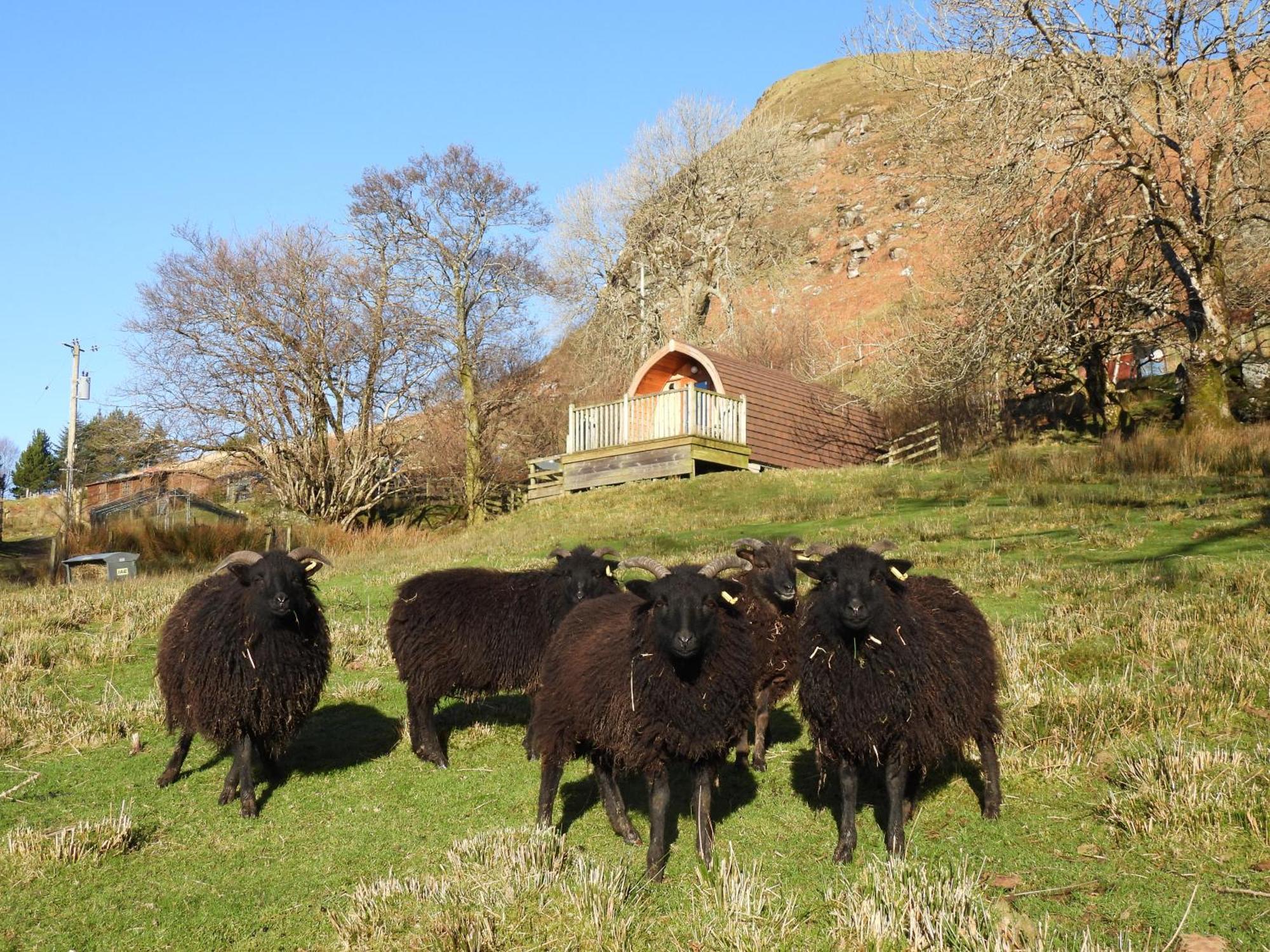 The Wee Lodge Mallaig Εξωτερικό φωτογραφία
